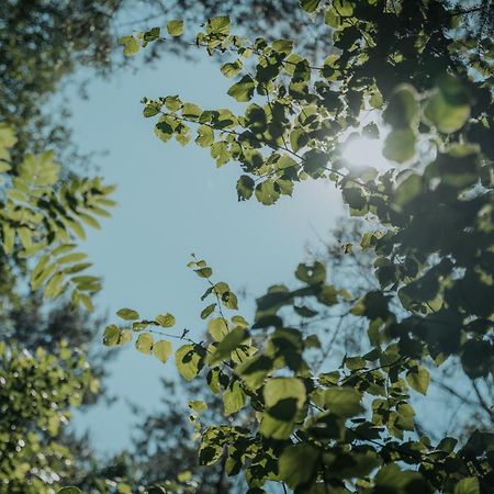 Forest Cabin - 50Min Od Warszawy Wola Polska Zewnętrze zdjęcie