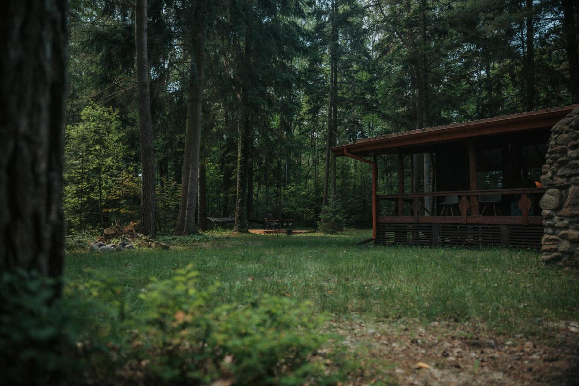 Forest Cabin - 50Min Od Warszawy Wola Polska Zewnętrze zdjęcie