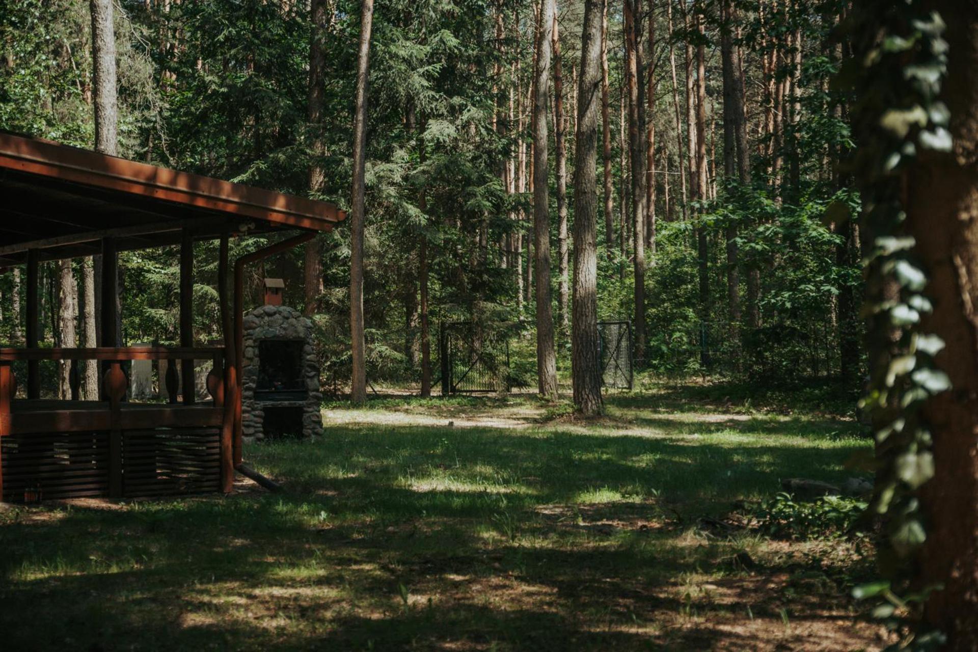 Forest Cabin - 50Min Od Warszawy Wola Polska Zewnętrze zdjęcie