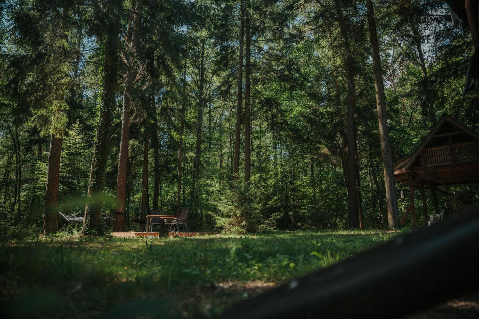 Forest Cabin - 50Min Od Warszawy Wola Polska Zewnętrze zdjęcie
