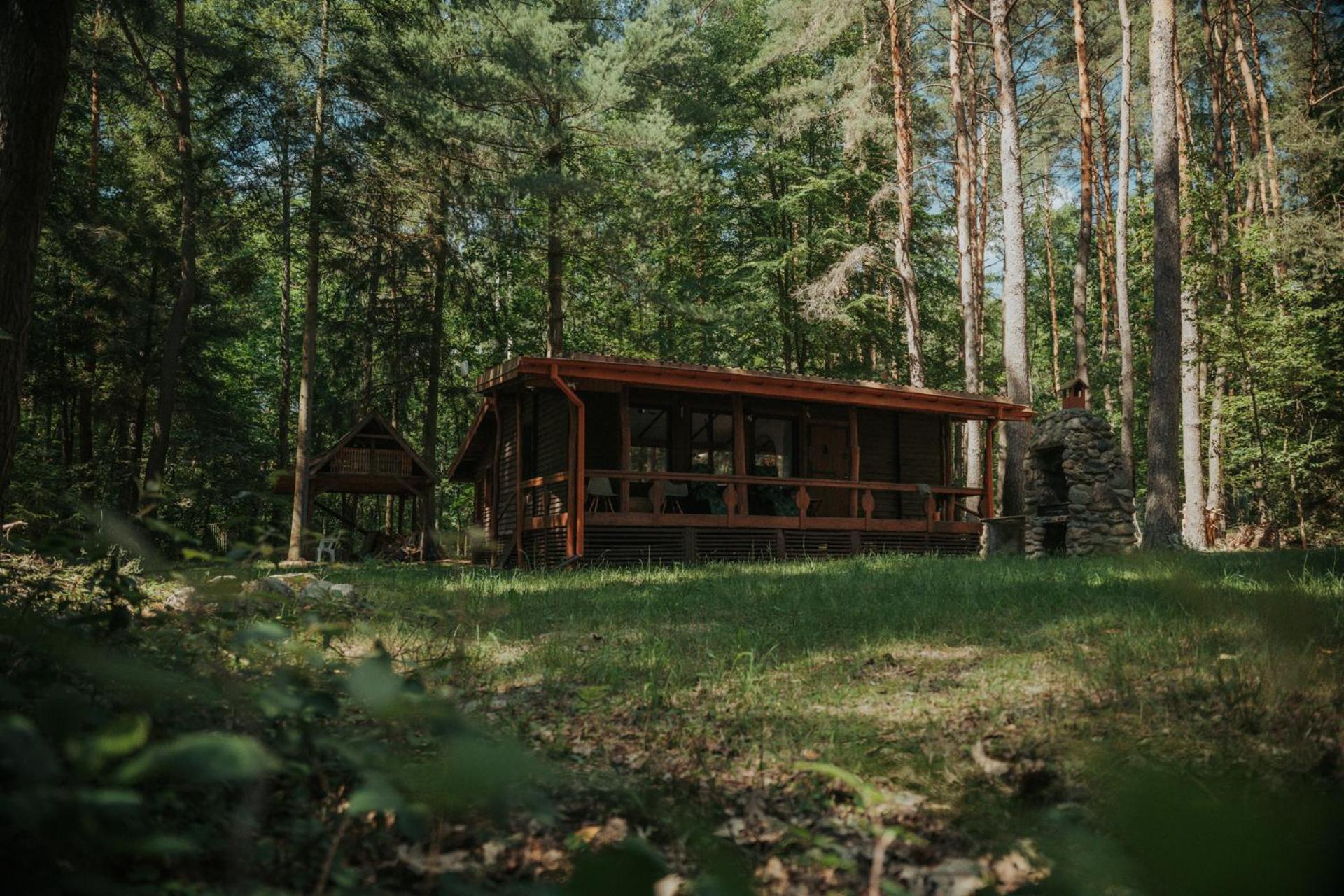 Forest Cabin - 50Min Od Warszawy Wola Polska Zewnętrze zdjęcie