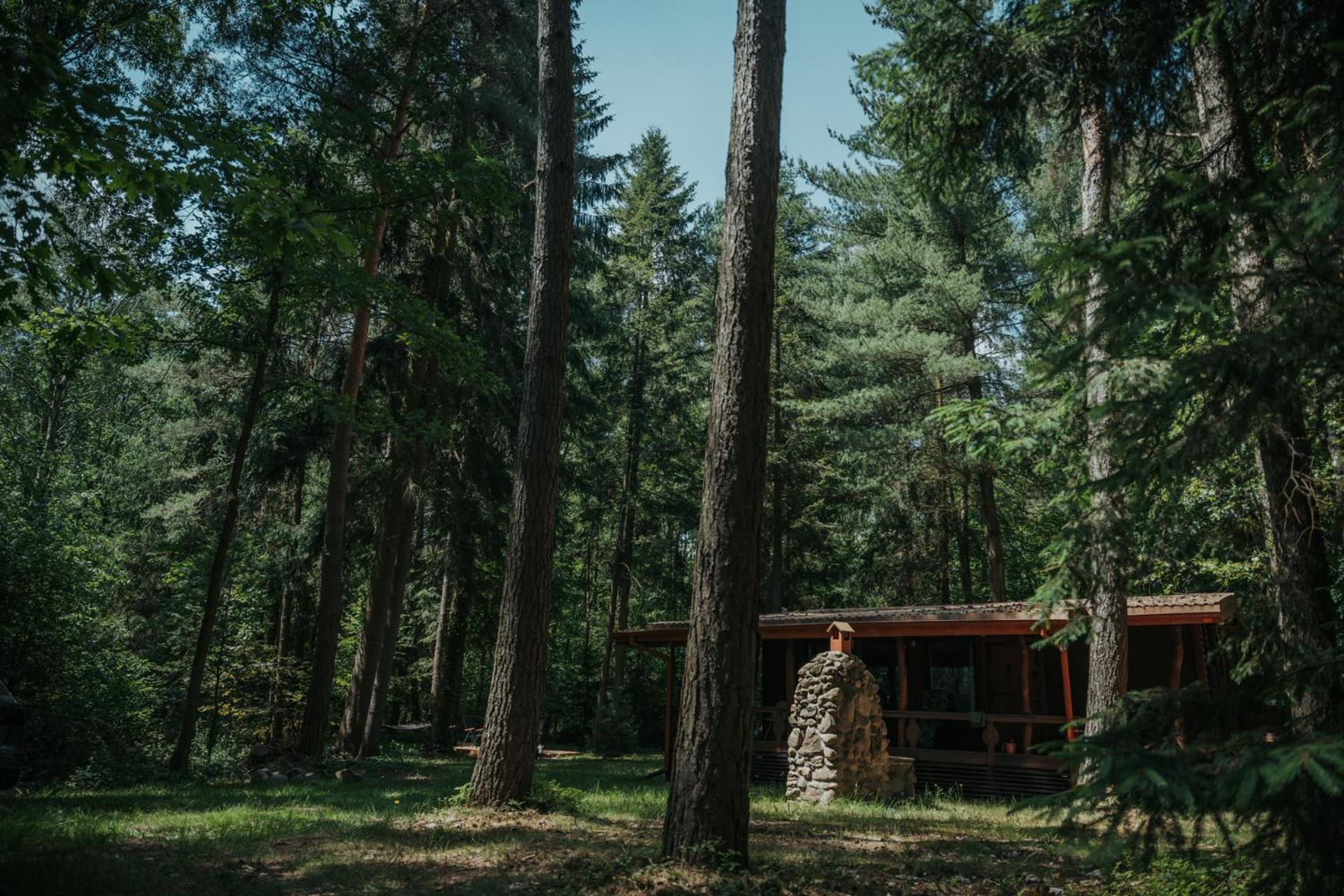 Forest Cabin - 50Min Od Warszawy Wola Polska Zewnętrze zdjęcie