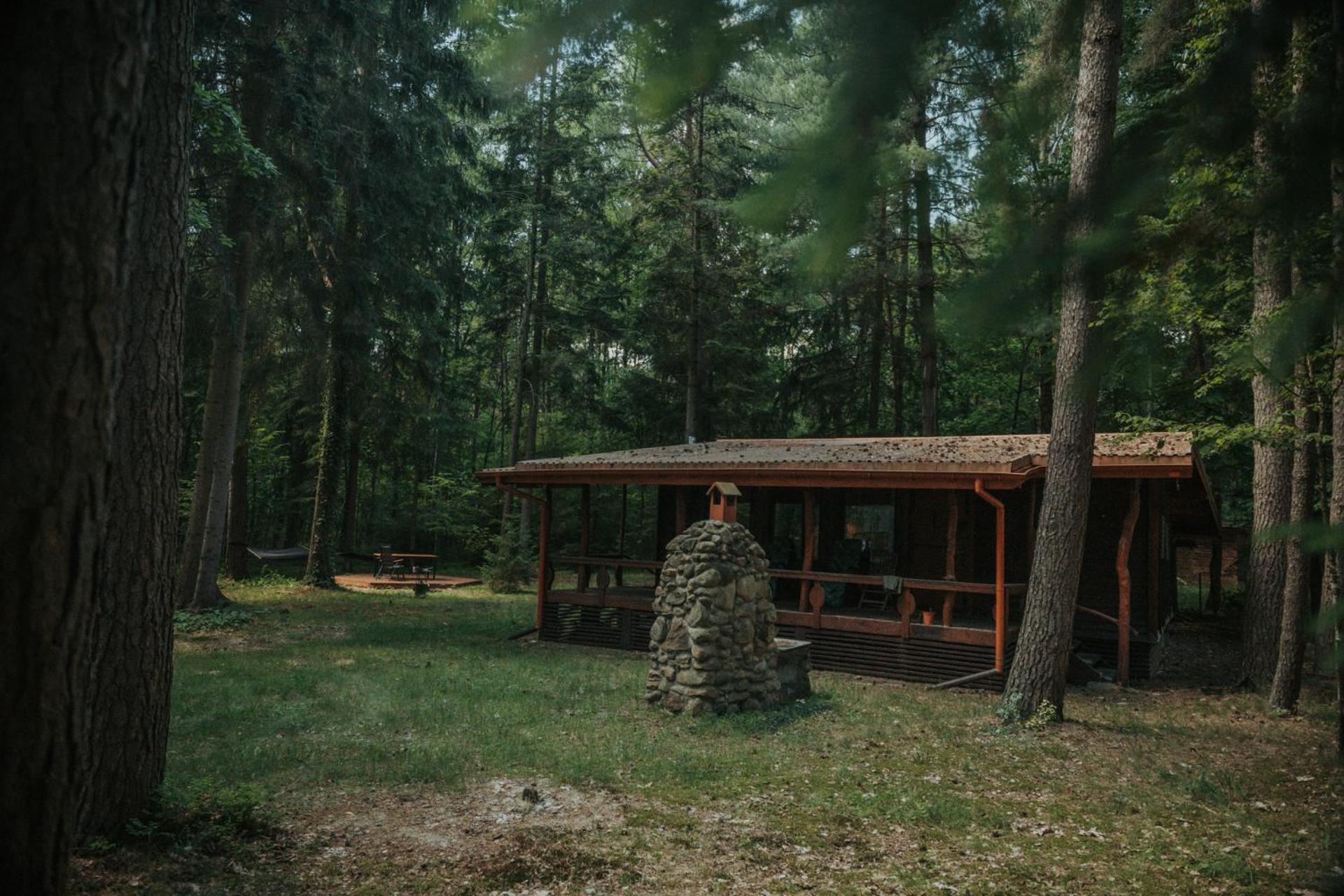 Forest Cabin - 50Min Od Warszawy Wola Polska Zewnętrze zdjęcie