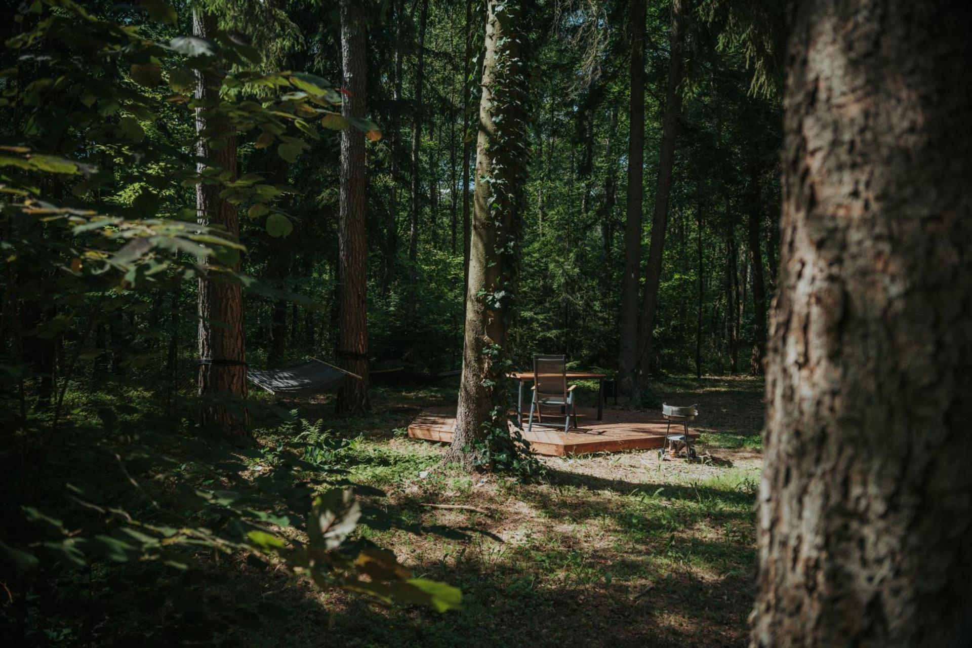 Forest Cabin - 50Min Od Warszawy Wola Polska Zewnętrze zdjęcie