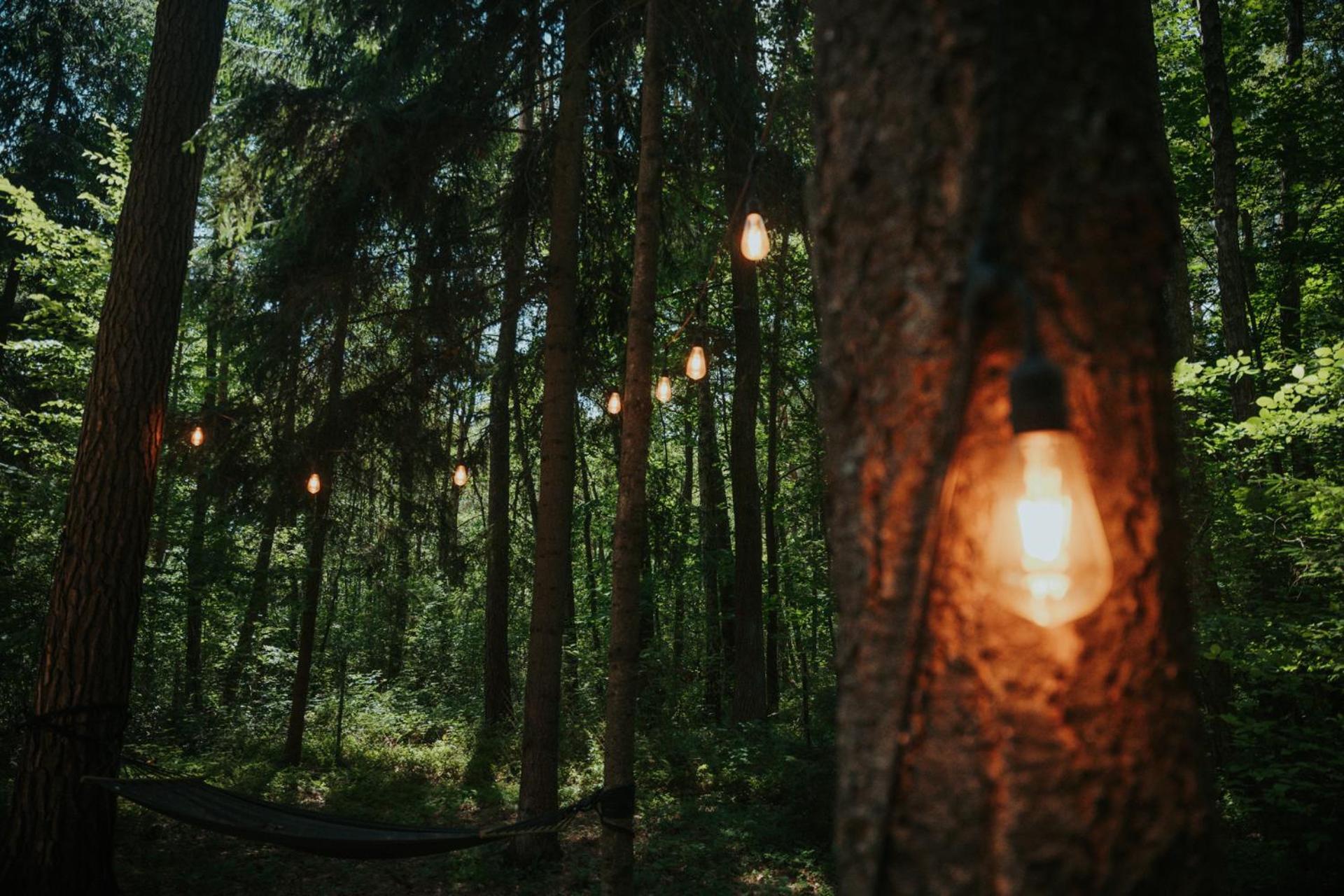 Forest Cabin - 50Min Od Warszawy Wola Polska Zewnętrze zdjęcie