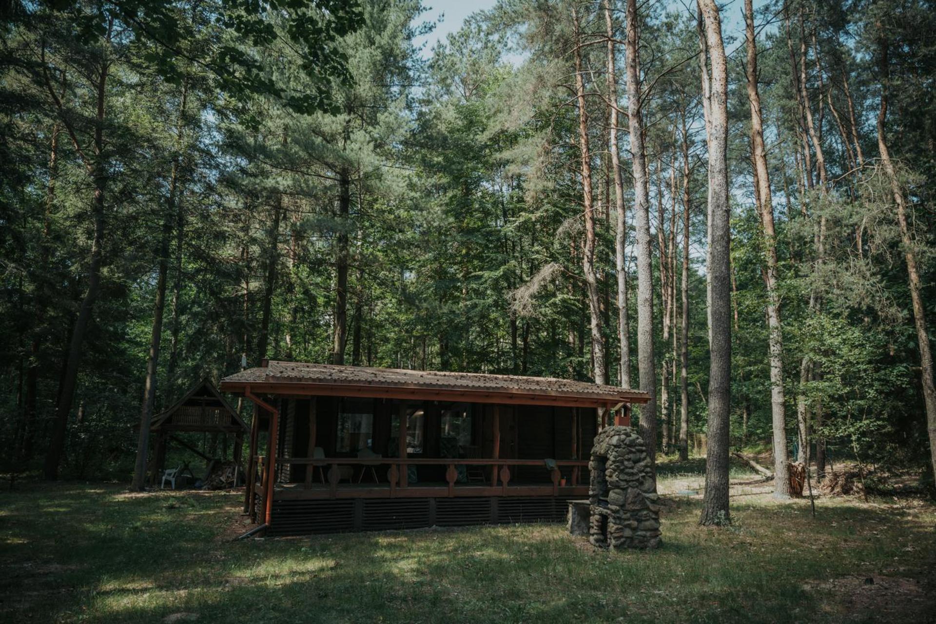 Forest Cabin - 50Min Od Warszawy Wola Polska Zewnętrze zdjęcie