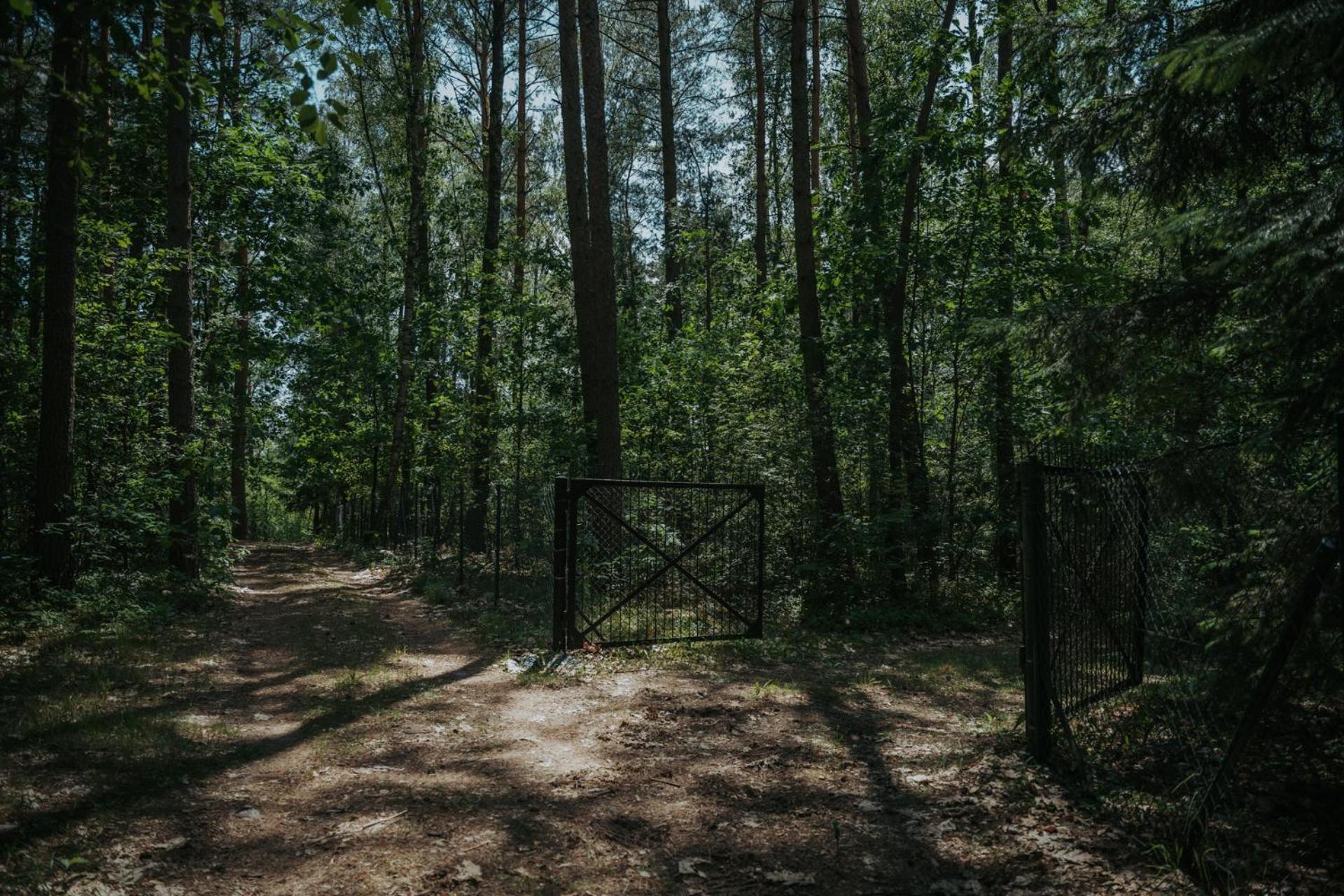Forest Cabin - 50Min Od Warszawy Wola Polska Zewnętrze zdjęcie